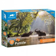 Animal Planet: Sloni u jezera puzzle 1000 dílků