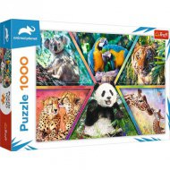 Animal Planet: Zvířecí království puzzle 1000 dílků - Trefl