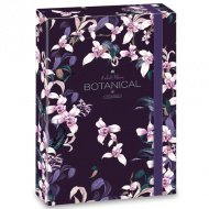 Ars Una: Botanická Orchidej sešitbox A/4