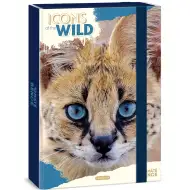 Ars Una: Icons of the Wild Serval box na sešity A/4