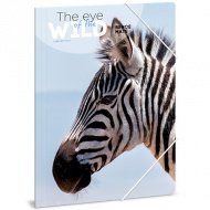 Ars Una: Máté Bence The Eyes of the Wild - Zebra A/4 gumová složka