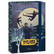 Ars Una Ninjas in the dark gumičkový box na sešity A/4