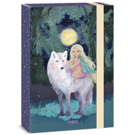 Ars Una: Northern Lights box na sešity A4