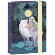 Ars Una: Northern Lights box na sešity A5