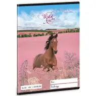 Ars Una: Wild and Free jezdecký linkovaný sešit pro 2. třídu A/5