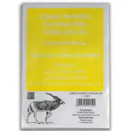 Barevné papíry, bodové mřížky a čárové sítě 1. třída