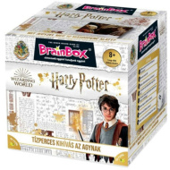 BrainBox - Harry Potter desková hra