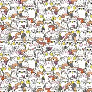 Cardex: Balicí papír s veselými ptáky, 100x70 cm