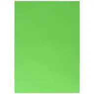 Duch: Dekorační karton světle zelené barvy 220g ve formátu A4 1ks