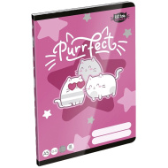 ICO: LizzySuli Kittok Stars Purrfect linkovaný sešit A5 pro 3. třídu 12-32