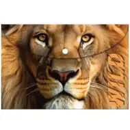 Luna: Lev Obyčejná A4 složka na druk