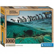 National Geographic - Tučňáci oslí 1000 dílků puzzle - Clementoni