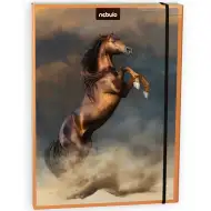 Nebulo: Box na sešity ve formátu A4 s motivem koně