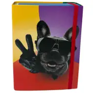 Nebulo: Box na sešity ve velikosti A5 s cool motivem buldoka