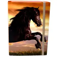 Nebulo: Box na sešity ve velikosti A5 s motivem černého koně