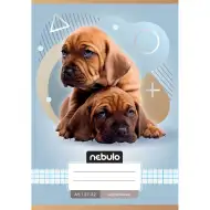 Nebulo: Dva psi vzorovaný kostkovaný sešit A/5 27-32
