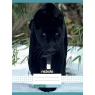 Nebulo: Sešit s kroužkovou vazbou, černý s motivem pantera, kostkovaný, 87-32 A/4