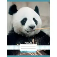 Nebulo: Sešit s motivem pandy na čtverečkovaném papíře 87-32 A/4