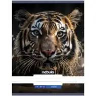 Nebulo: Tygří hladký sešit A4 80-32