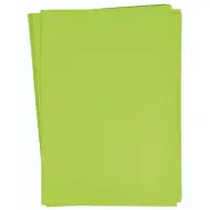 PlayBox: Světle zelený kartonový papír set A4, 25 kusů, 180g