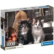 Roztomilá koťátka HQC 1000dílné puzzle - Clementoni