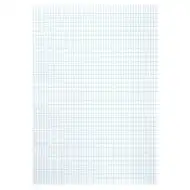 Rýhovaný francouzský čtverečkovaný papír A3, 20 listů