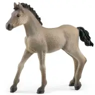 Schleich: Criollo Definitivo hříbě figurka (13949)