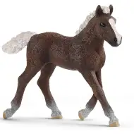 Schleich: Hříbě z Černého lesa (13899)