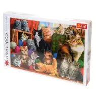 Setkání koček puzzle 1000 dílků - Trefl