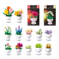 Stavebnice Sluban - Sběratelské květiny v květináči