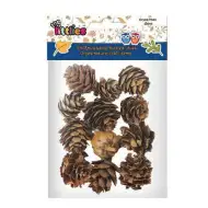 Sušené borovicové šišky v balení 12 kusů