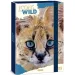 Ars Una: Icons of the Wild Serval box na sešity A/4