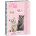 Ars Una: Roztomilá zvířátka - čajový večírek, box na sešity s motivem koček A5