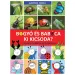 Bogyó a Babóčka: Kdo je kdo? Postavy série v přírodě – Pagony