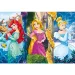 Disney+Princezny Maxi puzzle 60ks - Clementoni