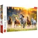 Divocí koně 1500dílné puzzle - Trefl