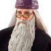 Harry Potter a Tajemná komnata: Panenka profesora Dumbledorea - Mattel