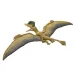 Jurassic World: Znovuzrození Frenzy pack Ceoptera dinosaurus figurka – Mattel