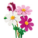 LEGO® Botanicals: Motýlí květy (11514)