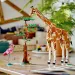 LEGO® Creator: Africká divoká zvířata (31150)