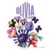 LEGO® Editions: kytice Olivie Rodrigo (11507)
