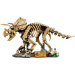 LEGO® Jurassic World™: Pozůstatky dinosaura: Triceratops (77985)