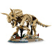LEGO® Jurassic World™: Pozůstatky dinosaura: Triceratops (77985)