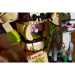 LEGO®: Shrek, Oslík a Kocour v botách (72423)