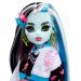 Monster High™: Panenka Frankie Stein s mazlíčkem a doplňky - Mattel