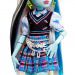 Monster High™: Panenka Frankie Stein s mazlíčkem a doplňky - Mattel