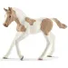 Schleich: Figurka hříběte plemene Paint horse (13886)