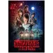 Stranger Things 1. sezóna 1000 dílků puzzle s plakátem - Clementoni